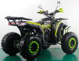 Квадроцикл FREELANDER PRO200 XTS