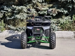 Квадроцикл Lion 125 А lite