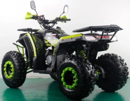 Квадроцикл FREELANDER PRO200 XTS