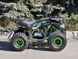 Квадроцикл Lion 125 AR LITE