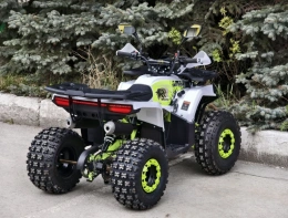 Квадроцикл детский Lion 125 AY белый