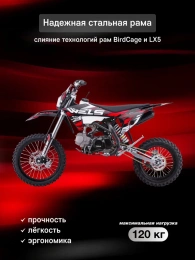 Питбайк WELS RTX 125 17/14