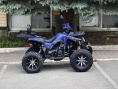 Квадроцикл Lion 200 R
