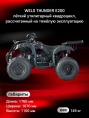 Квадроцикл WELS ATV THUNDER 200 (E200) NEW