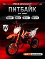 Питбайк WELS Mini Cross 2T