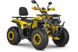 Квадроцикл DAZZLE ATV 200 (Комплектация 1)