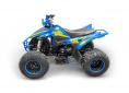 Квадроцикл RC250 Typhoon