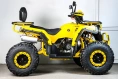 Квадроцикл SPRMOTORS ATV Blade- 200V