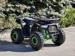 Квадроцикл Lion 125 А lite