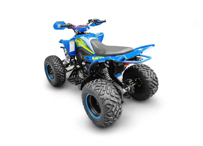 Квадроцикл RC250 Typhoon