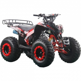Квадроцикл RACER EAGLE 125