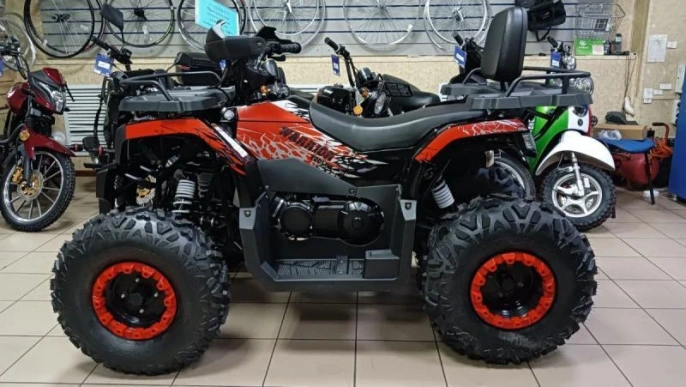 Квадроцикл TAO TAO Warrior 200 LUX