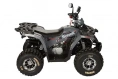 Квадроцикл Avantis Shark HS8 150 Premium