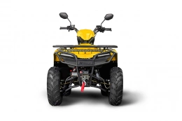 Квадроцикл IRBIS ATV 200 LUX