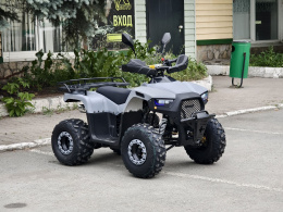 Квадроцикл Lion 125 RR серый