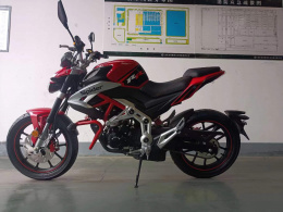Мотоцикл ROLIZ SPIDER YS166FMM 250cc с ПТС