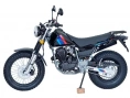 Мотоцикл SCOUT TW200  PR 200